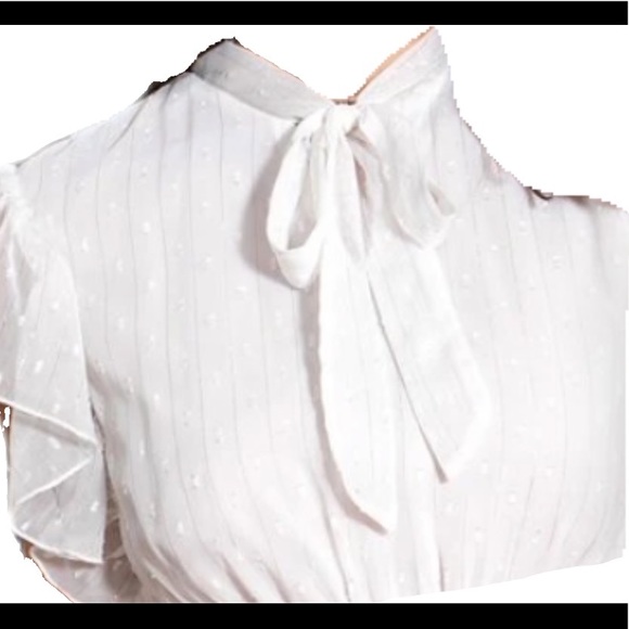 Tie neck dobby mesh overlay ruffle trim dress - Picture 3 of 3